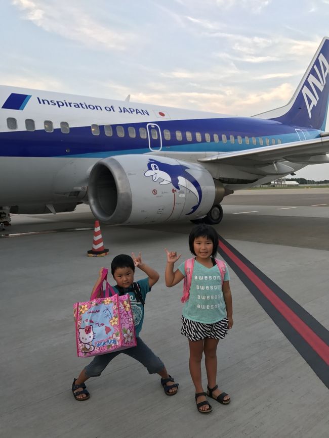 こんな写真も撮れて 良いですけどね(*´꒳`*)<br /><br /><br />