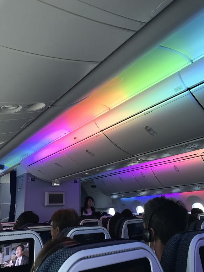 成田空港に着陸態勢に入ったあたりに機内の照明がレインボーに(≧∀≦)<br /><br />CAさんが説明してましたが、よく覚えてません(^◇^;)<br /><br /><br />とにかく、キレイでした