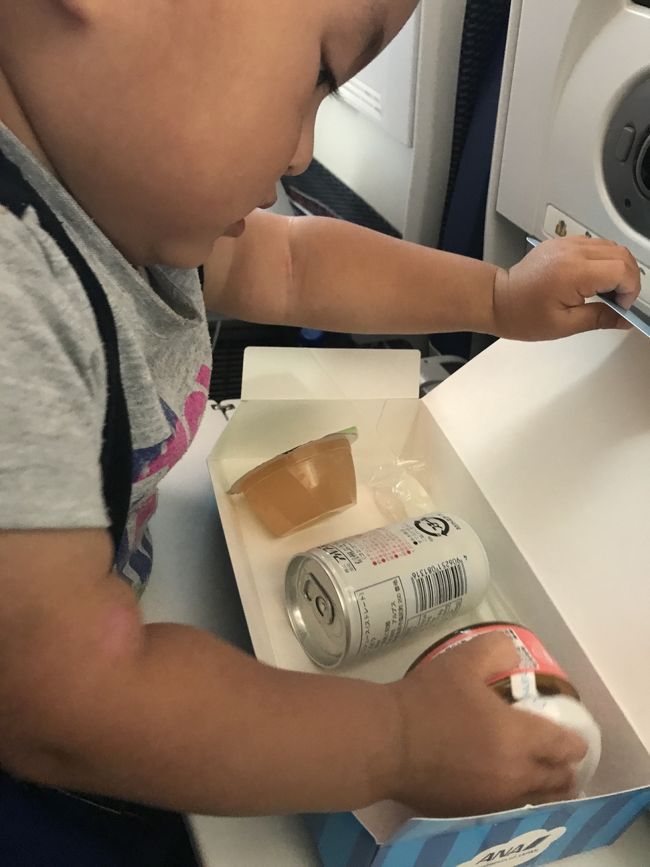 シンちゃんのベビーミール  アレルギー用<br /><br />これは残念ながら 往路と全く一緒で、2回出る機内食どっちも同じ…<br /><br />これもジュースだけ、飲んでました<br /><br /><br />アレルギーと言っても そこまでじゃないし、改善されてきてるので<br /><br />次からは普通のでお願いしましょー(^◇^;)