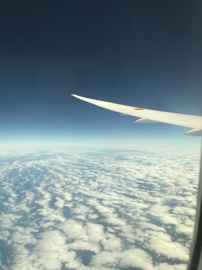 もうすぐ日本(*´꒳`*)