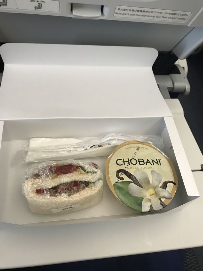 機内食  キッズミール  その2<br /><br /><br />サンドウィッチとヨーグルト<br /><br /><br />このサンドウィッチの具が…<br /><br /><br />なんだったか、でも微妙だったのは覚えてます（笑）<br /><br />ハムとかツナじゃないのは確か(-｡-;<br /><br /><br />子供達はヨーグルトだけ食べてたなぁ…