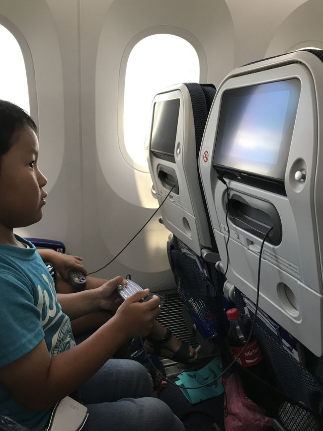 一眠りした長男<br /><br /><br />ゲームしたり、映画観たり、楽しんでました<br /><br />復路は長いし、昼間のフライトなので気を張ってましたが<br /><br /><br />静かに、お利口にしてくれました<br /><br /><br />ホッ(*´-`)