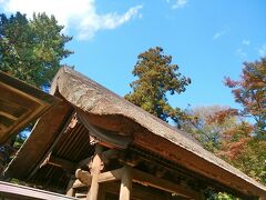 今回も雨の予報が快晴へ！
気象神社の神様、いつも感謝致します。

電車とバスを乗り継いで、はるばるやって参りました、茅葺き屋根が古式ゆかしいお寺。