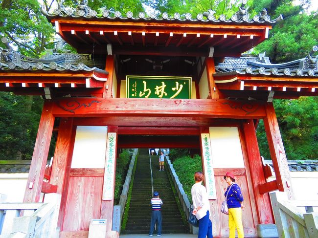 開運達磨大師　少林山 達磨寺　群馬県 高崎市（高さ約19㎝） 開運達磨大師 少林山 達磨寺 群馬県 高崎市（高さ約19㎝）
