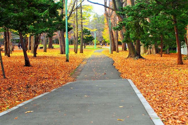 カメラのポップアートで派手目に仕上げちゃったけど、<br />一面葉も落ちて、とっても綺麗な秋の風景に出会えました。