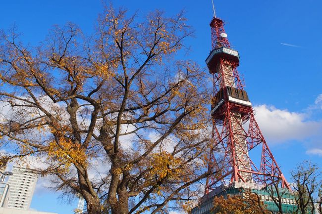 前景に色づいた木を入れてもう一枚、パシリっ！<br /><br />