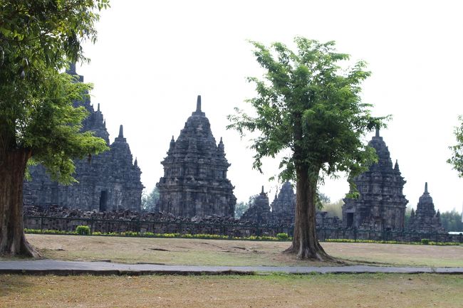 修復が進んでいるセウ寺院。