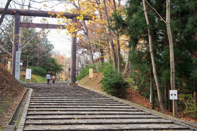 この階段の先には北海道神宮があります。<br />写真撮りながら歩こう！