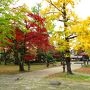 紅葉の磊々峡と秋保大滝をゆく