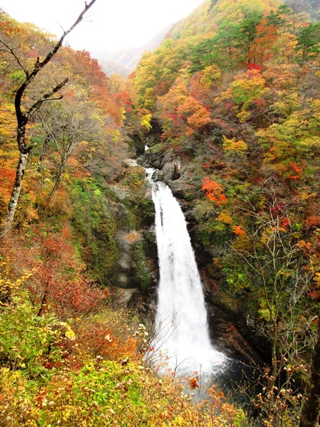 紅葉の磊々峡と秋保大滝をゆく 秋保温泉 宮城県 の旅行記 ブログ By Tomoさん フォートラベル