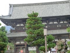 竜安寺から駅まで戻り仁和寺へ　竜安寺から仁和寺まで徒歩で行ける距離ですが、道に迷い駅まで戻りました"(-""-)"　
仁和寺は電車を降りてすぐ近くです。拝観料500円