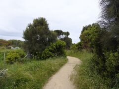 The twelve apostles のvisitor centreに到着。
ここからギブソン階段へGreat Ocean Walk と言う歩行者専用の小道を歩いて向かいます。Great Ocean Walk はApollo Bay から続く道です。
ギブソン階段は車でも行けるのですがせっかくなのでハイキングがてら歩いてみました。