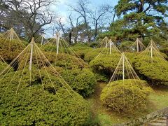 冬の秋田市はどうなのかとお聞きしましたら、雪がけっこう積もるそうです。