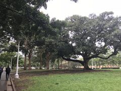 歩いてハイドパークへ。
大きな公園です。
雨が降っていなければ、もっとゆったりしたのにな。