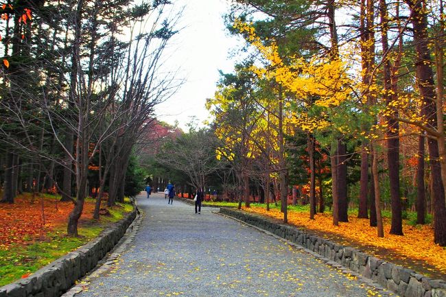 皆さん神宮に行かれるのかな？<br /><br />私も行きます！