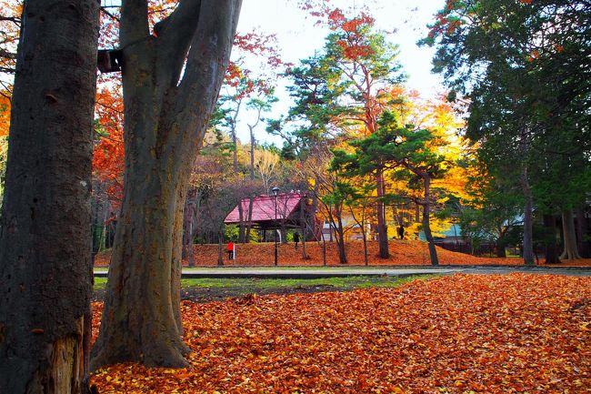 この先にある赤い屋根の建物はなんでしょう？<br /><br />それにしても落ち葉の量のすごいこと！