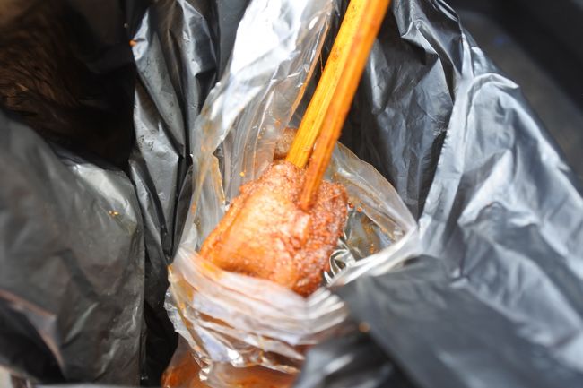 アクラまでは３時間ぐらい。きっつきつなのでなんか疲れてしまった。<br />途中セキュリティチェックでみんな降ろされる。おやつ売ってたので買う、Gizzard、砂肝。ちょっと硬かったけどスパイシーで美味しかった。