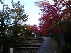 そして、翌日。この日は、京都の紅葉を見に行く予定です！
最初にやってきたのは、