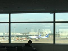 久しぶりの　羽田国内線　　国際線ばかりでした
朝　４時起き　空港バスに乗って羽田へ
土曜でしたので　空港内は混雑していました
早目に行って正解
ＡＤＯは　一番はじのカウンターで　歩きました
満席・・・

アナウンスで　新千歳空港が・・・　引き返しの
あの　２年前の悪夢？
でも　大丈夫でした
搭乗口も　遠かった