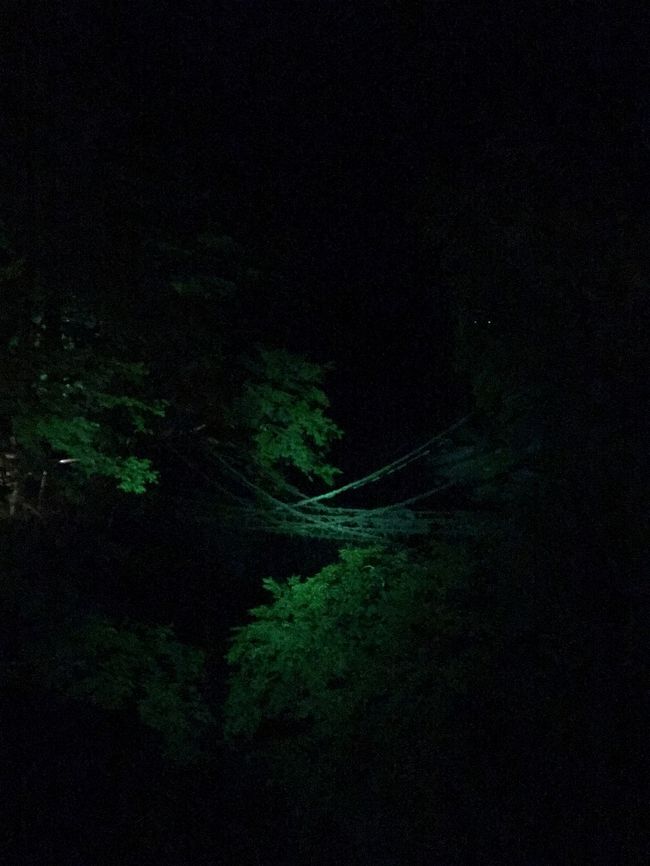 恋も芽生える つり橋効果抜群のかずら橋と秘境の妖怪村 祖谷渓 かずら橋 大歩危 徳島県 の旅行記 ブログ By Yuka さん フォートラベル