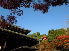 今熊野観音寺。