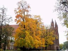 聖アンナ教会。周りの紅葉もちょうどきれい。