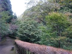 大雄山最乗寺から丹沢湖に向かう途中にあったので･･･
洒水の滝へと行ってみました。

駐車場から歩道があり少し歩いて行きます。