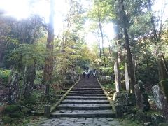 丹沢湖周辺で観光出来る所は･･･
と探してみた所
大雄山 最乗寺　があるとの事で行ってみました。

大井松田ＩＣより２０分位の所です。

紅葉が見ごろとの事だったけど･･･
全くその気配がない･･･。