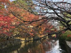 美観地区の中心地に足を踏み入れると、思いがけずちょうど紅葉が見頃！