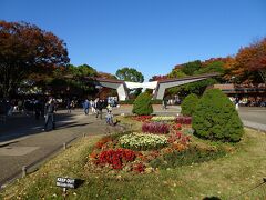 中央線で立川に移動し、紅葉が見頃の昭和記念公園を訪れました。