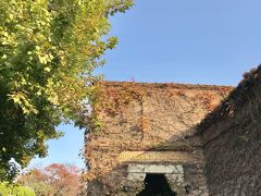 倉敷川沿いが紅葉していて、煉瓦造りの建物に絡むアイビーも紅葉してるのでは・・・と期待して行ってみたアイビースクエア。