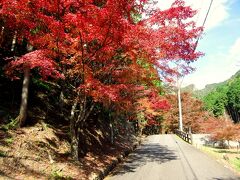 慧日寺からバスで石龕寺へやってきました。ここは普段は公共交通がなく、今回特に訪れたいと思っていた場所です。駐車場から仁王門までは紅葉の道が続いていますが、今年の紅葉は色あせているようでした。やはり異常気象のせいでしょうか？