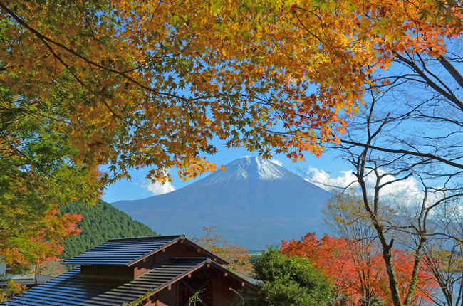 紅葉を求めて 田貫湖から白糸の滝 1 田貫湖 前編 17 11 16 富士宮 静岡県 の旅行記 ブログ By てんとう虫さん フォートラベル