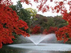 富山城址公園から高岡古城公園へ。