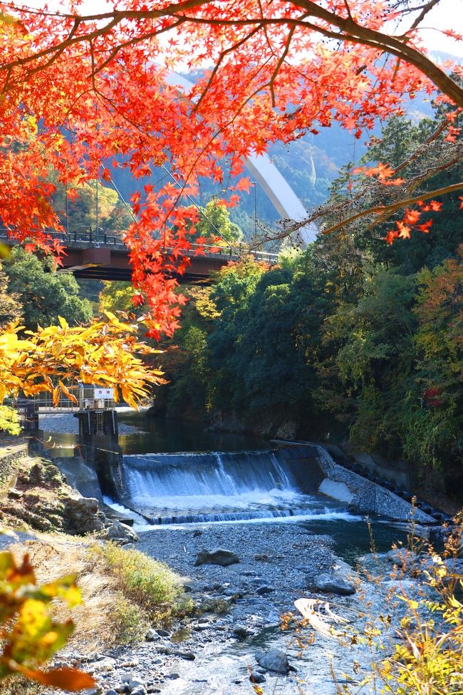 秋川渓谷の紅葉 あきる野 秋川渓谷 東京 の旅行記 ブログ By Oakatさん フォートラベル