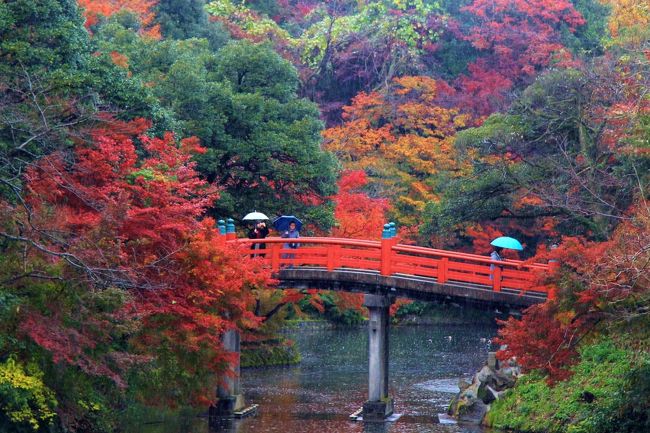 錦秋の北陸城めぐり 高岡古城公園 高岡 富山県 の旅行記 ブログ By 温泉大好きさん フォートラベル 錦秋の北陸城めぐり 高岡古城公園 高岡 富山県 の旅行記 ブログ By 温泉大好きさん フォートラベル