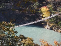 夢の吊橋

美しいエメラルド色の寸又ダム湖に架かる長さ90ｍ、高さ８ｍの吊橋。
トリップアドバイザーの「死ぬまでに渡りたい世界の徒歩吊り橋10選」にも選定されました。
また、ふじのくにエンゼルパワースポットにも選ばれているそうです。