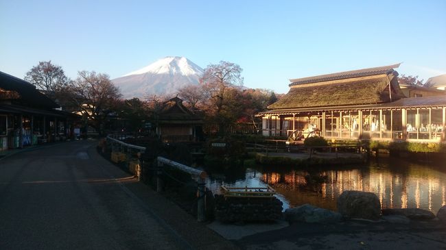 ドキッ！丸ごと富士山 河口湖、山中湖、忍野八海を周遊！ (前編