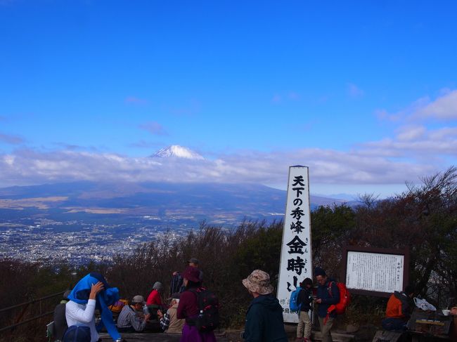 紅葉を求めて箱根の金時山へ。金時娘は入院中！』仙石原(神奈川