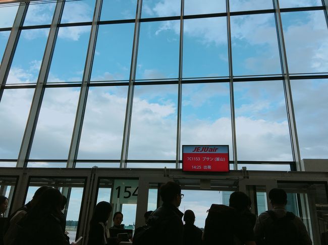 昼のフライトでした