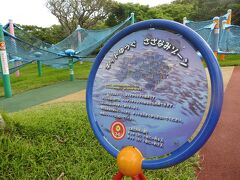 この旅行のメイン。
美ら海水族館。
外にさざなみゾーンといってアスレチックがありました。
無料で遊べます。