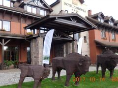 昨夜夕食に行ったホテルです。玄関前にヨーロッパバイソンの木彫りがありました。