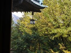 紅葉を探しに。
隣接する熊野神社（温泉の神様）の黄葉。花御殿3階の廊下より。