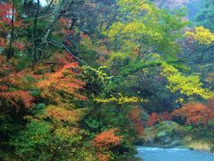 鶴仙渓の紅葉