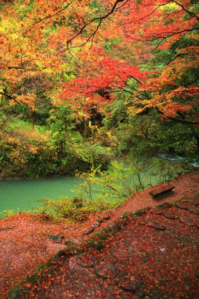 錦秋の北陸城めぐり 山中温泉 山中温泉 石川県 の旅行記 ブログ By 温泉大好きさん フォートラベル 錦秋の北陸城めぐり 山中温泉 山中温泉 石川県 の旅行記 ブログ By 温泉大好きさん フォートラベル