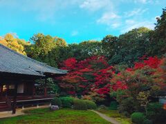 書院や能の間から本堂と紅葉、庭園を望む。　カメラのポップアップモードを使っての撮影だったので、ちょっと鮮やか過ぎた感も…。　

こんな素敵な写真が撮れるお寺なのに、あまり知られていないのか、本当の人が少なくて驚きます。　この後も何か所か京都市内の紅葉を見に行きましたけど、2017年に見た京都の紅葉では、ここが私のベスト1でした!