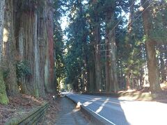 また寄り道です。《日光街道》を走ってたのですが、高い杉並木に囲まれた景色があまりにも素晴らしかったため、思わず車を停めてしまいました。

こう言う景色が町の至るところにある日光、さすがは日本を代表するパワースポットです。