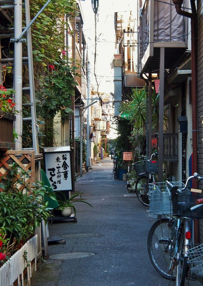 月島百年史 月島百年史 / 古本、中古本、古書籍の通販は「日本の古本屋