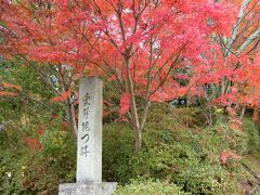 圓光寺から歩いて１０分くらいで

『曼殊院門跡』