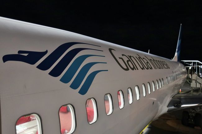 ガルーダマークを間近で写真に収めて機内へと。